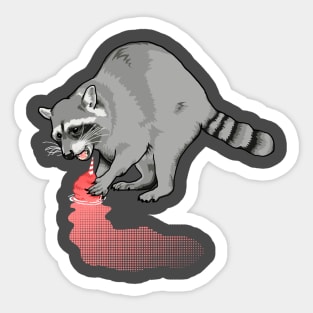 Raccoon washing his cotton candy Sticker